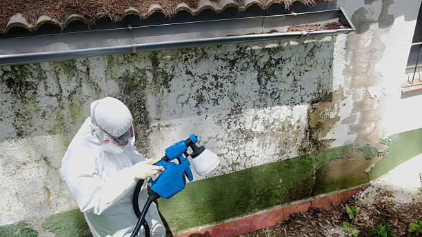 Top rated local Commercial Mold Remediation specialists in McAlisterville, PA